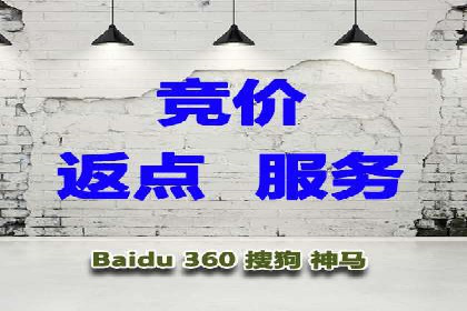 专业网站SEM托管服务案例展示